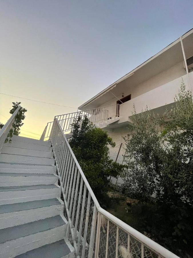 Villa Oasis Berat Exteriör bild