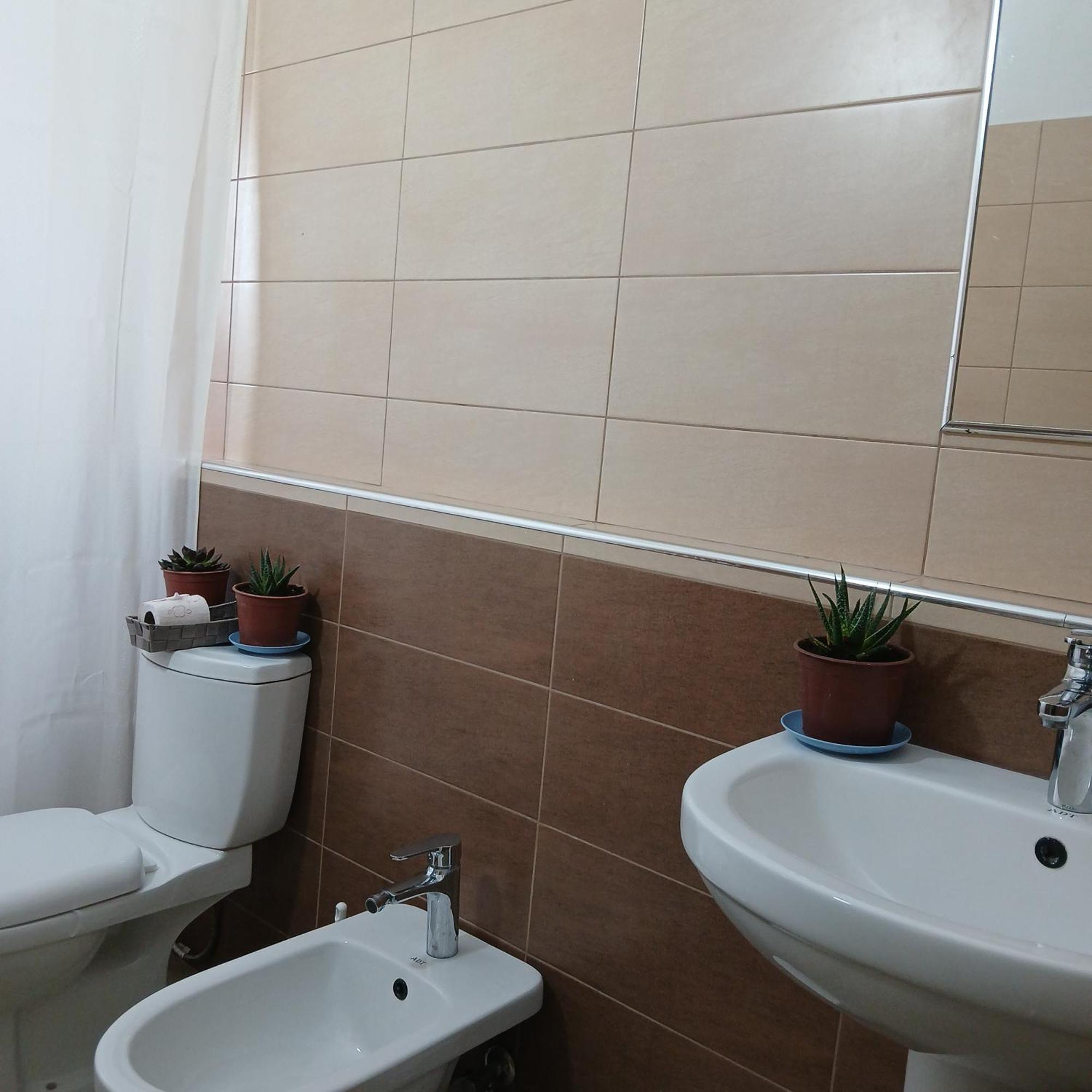 Villa Oasis Berat Rum bild
